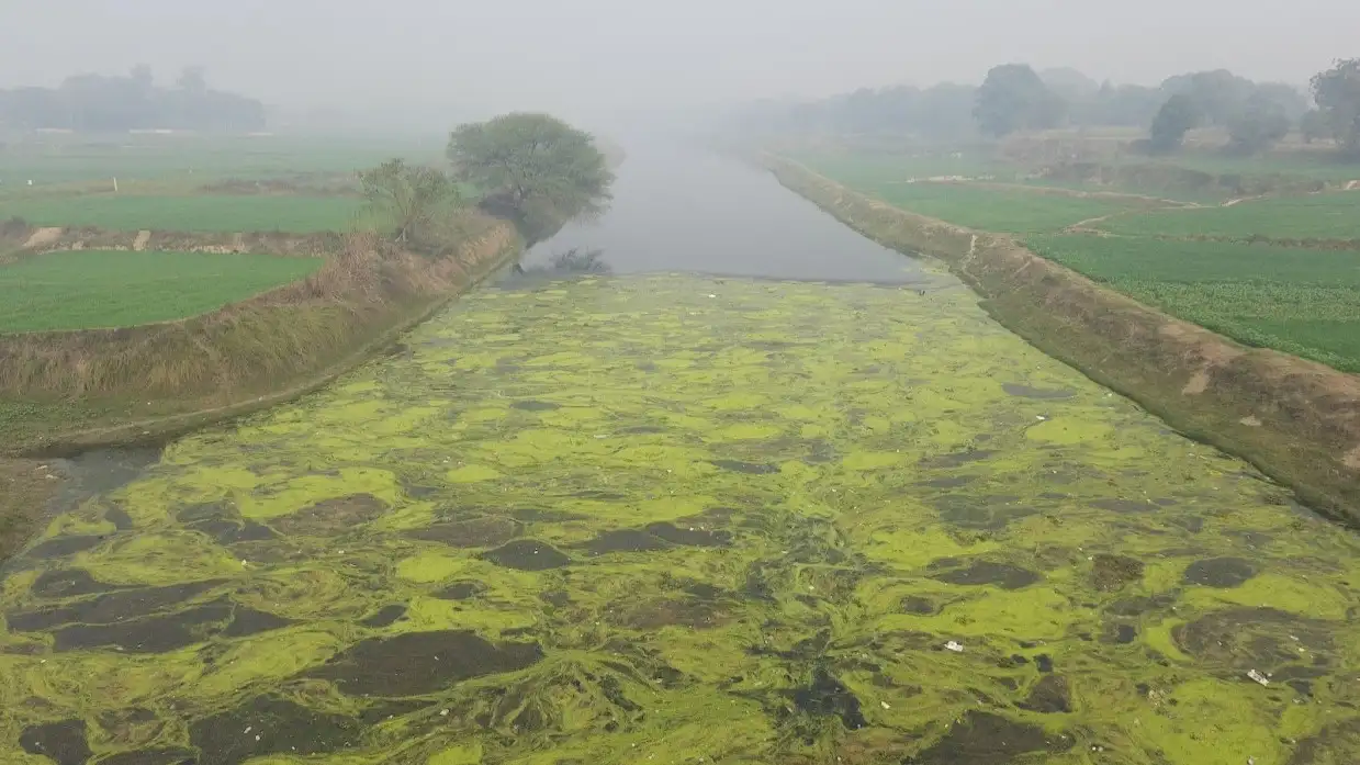 Clean Rivers