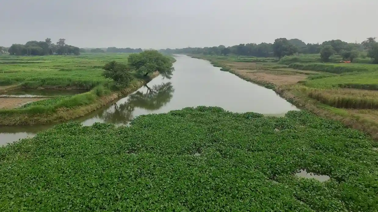 rivers