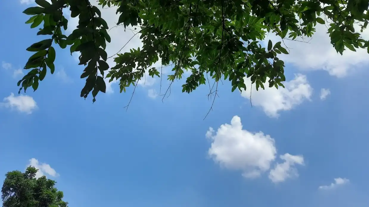 Rainy-seasons